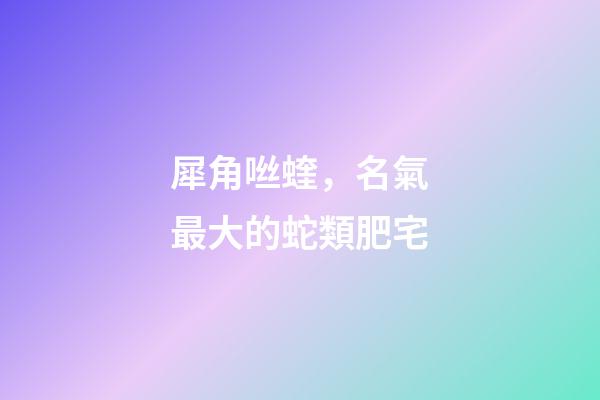 犀角咝蝰，名氣最大的蛇類肥宅-第1張-觀點(diǎn)-玄機(jī)派