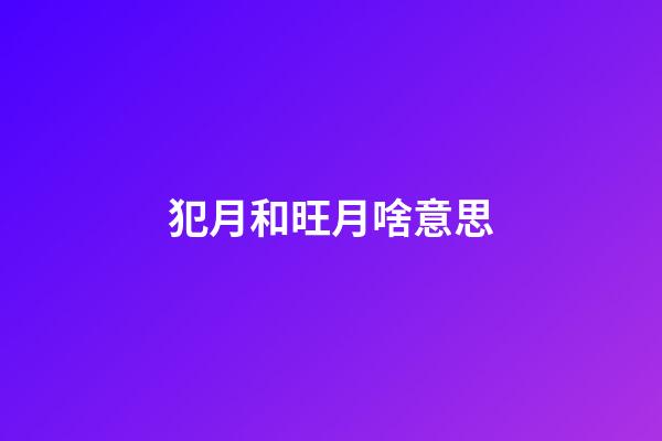犯月和旺月啥意思