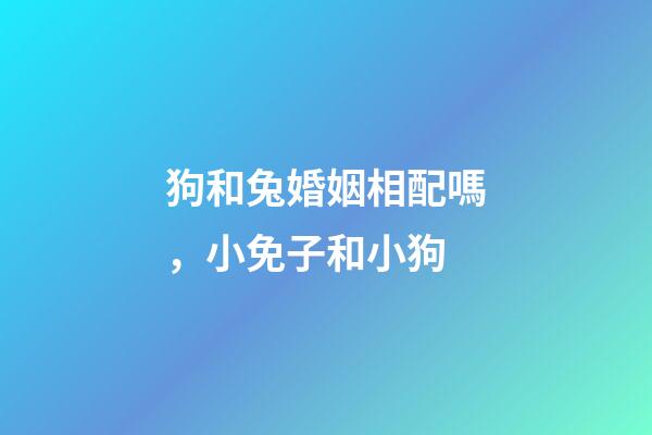 狗和兔婚姻相配嗎，小免子和小狗-第1張-觀點-玄機派