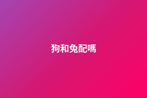 狗和兔配嗎（兔和狗在一起對誰不利）-第1張-星座運勢-玄機派