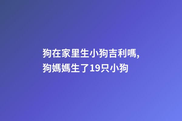 狗在家里生小狗吉利嗎,狗媽媽生了19只小狗-第1張-觀點(diǎn)-玄機(jī)派