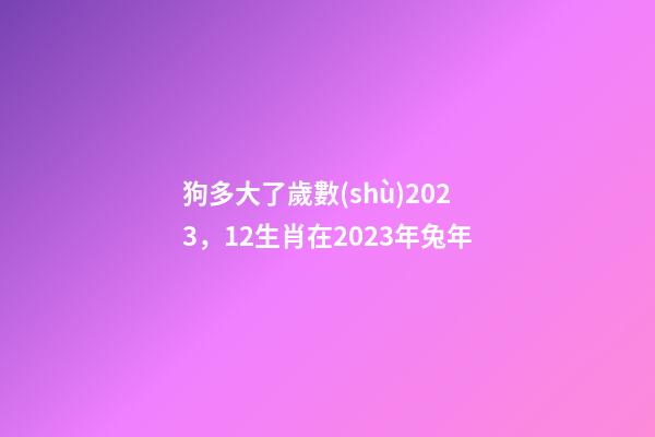 狗多大了歲數(shù)2023，12生肖在2023年兔年-第1張-觀點(diǎn)-玄機(jī)派