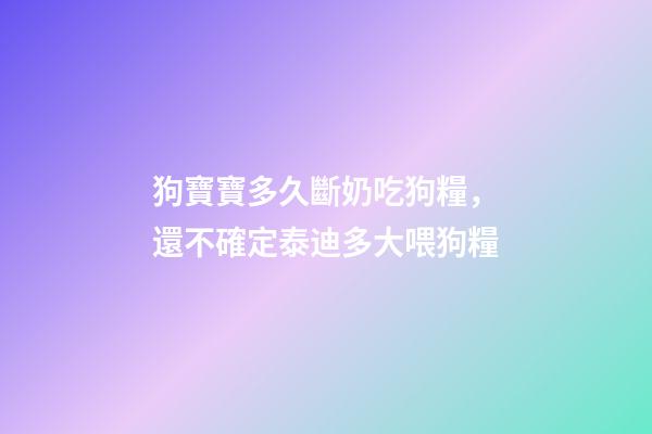 狗寶寶多久斷奶吃狗糧，還不確定泰迪多大喂狗糧-第1張-觀點-玄機派