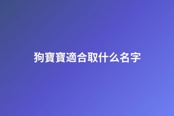 狗寶寶適合取什么名字(狗寶寶取名大全2023款)-第1張-寶寶起名-玄機(jī)派