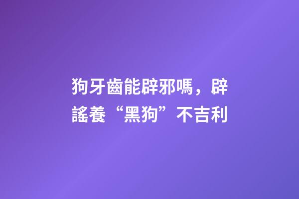 狗牙齒能辟邪嗎，辟謠養“黑狗”不吉利-第1張-觀點-玄機派