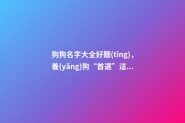 狗狗名字大全好聽(tīng)，養(yǎng)狗“首選”這幾種小型犬-第1張-觀點(diǎn)-玄機(jī)派