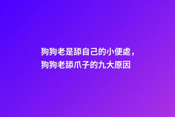 狗狗老是舔自己的小便處，狗狗老舔爪子的九大原因-第1張-觀點(diǎn)-玄機(jī)派