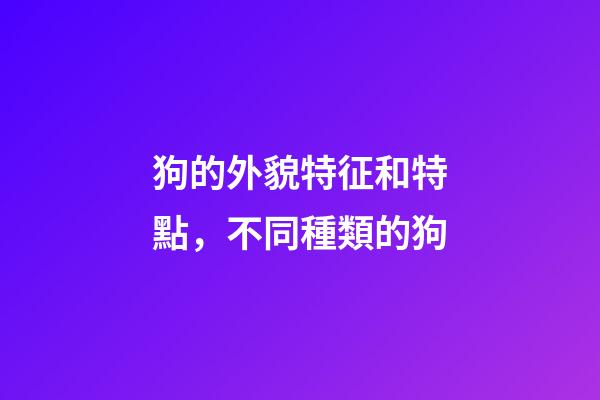 狗的外貌特征和特點，不同種類的狗-第1張-觀點-玄機派