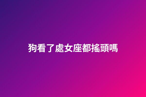 狗看了處女座都搖頭嗎-第1張-星座運勢-玄機派