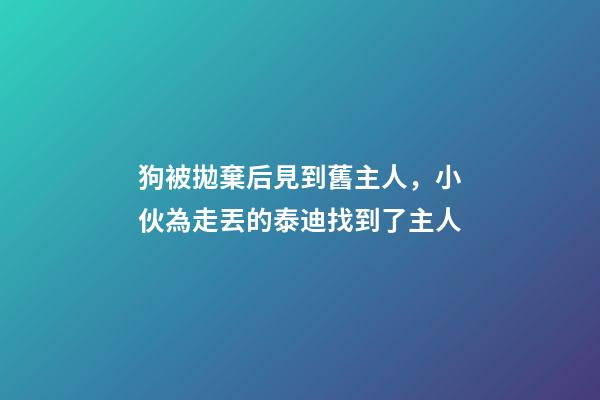 狗被拋棄后見到舊主人，小伙為走丟的泰迪找到了主人-第1張-觀點-玄機派