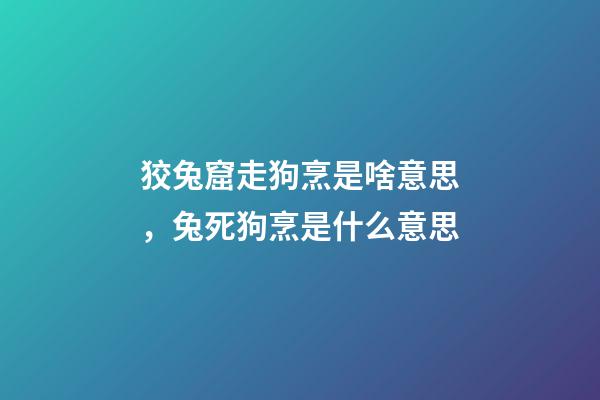狡兔窟走狗烹是啥意思，兔死狗烹是什么意思-第1張-觀點-玄機派