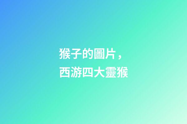 猴子的圖片，西游四大靈猴-第1張-觀點-玄機派