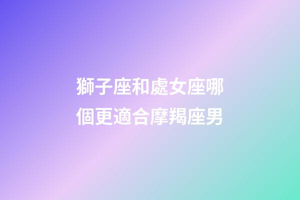 獅子座和處女座哪個更適合摩羯座男-第1張-星座運勢-玄機派