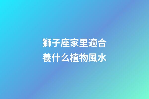 獅子座家里適合養什么植物風水-第1張-星座運勢-玄機派