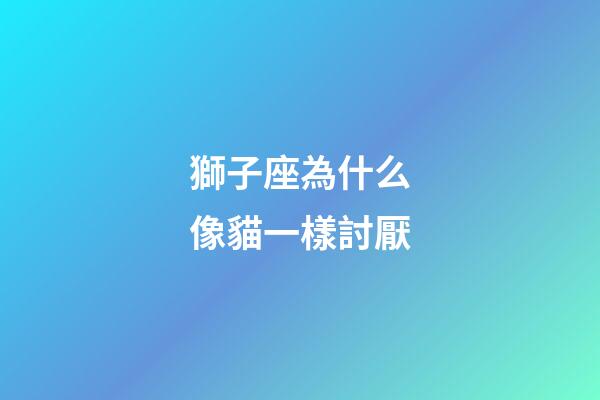 獅子座為什么像貓一樣討厭-第1張-星座運勢-玄機(jī)派