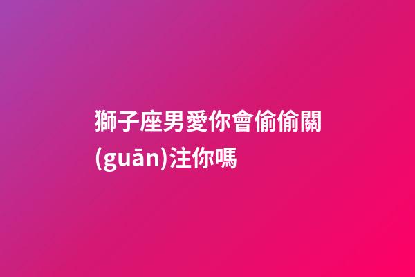 獅子座男愛你會偷偷關(guān)注你嗎-第1張-星座運勢-玄機派