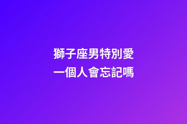 獅子座男特別愛一個人會忘記嗎-第1張-星座運勢-玄機派