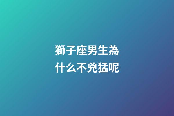 獅子座男生為什么不兇猛呢-第1張-星座運(yùn)勢-玄機(jī)派