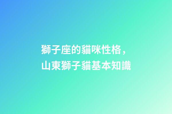 獅子座的貓咪性格，山東獅子貓基本知識