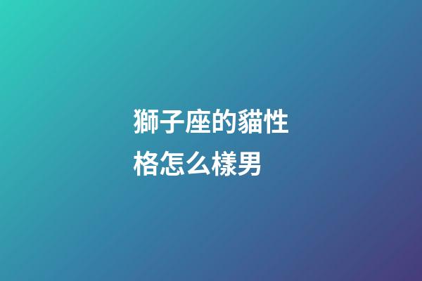 獅子座的貓性格怎么樣男-第1張-星座運勢-玄機派