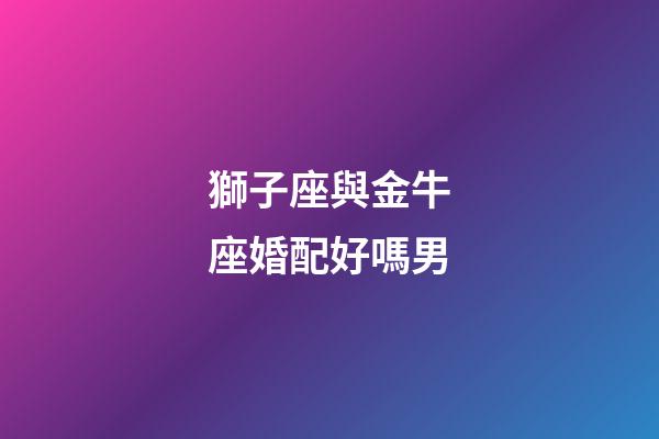 獅子座與金牛座婚配好嗎男-第1張-星座運勢-玄機派