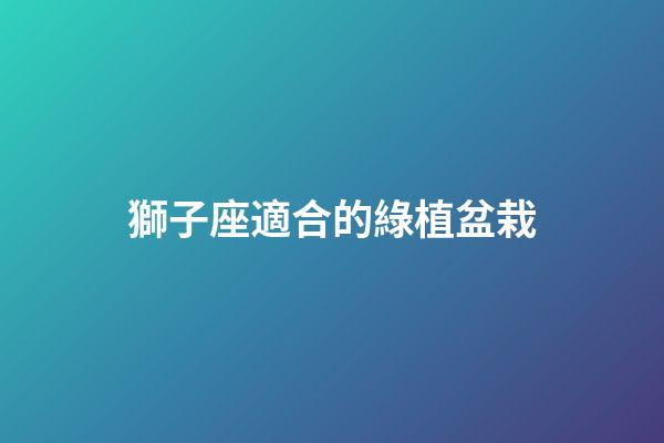 獅子座適合的綠植盆栽-第1張-星座運勢-玄機派