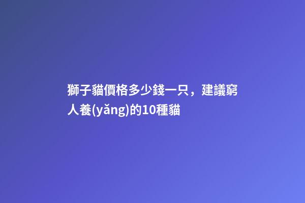 獅子貓價格多少錢一只，建議窮人養(yǎng)的10種貓-第1張-觀點-玄機派