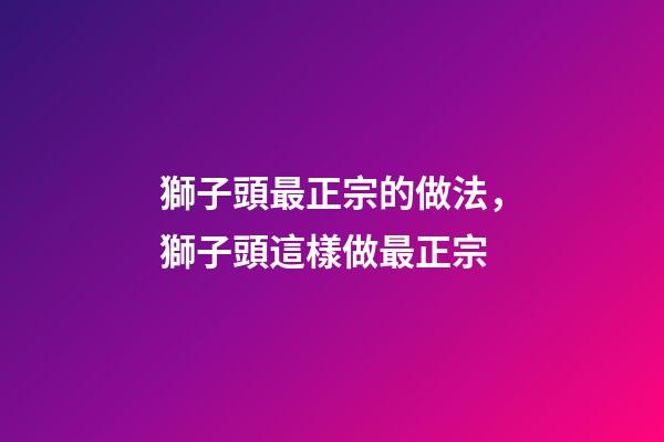 獅子頭最正宗的做法，獅子頭這樣做最正宗-第1張-觀點-玄機派