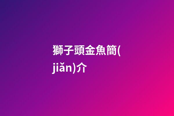 獅子頭金魚簡(jiǎn)介