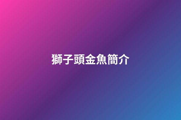 獅子頭金魚簡介