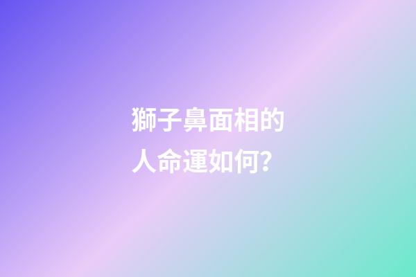 獅子鼻面相的人命運如何？