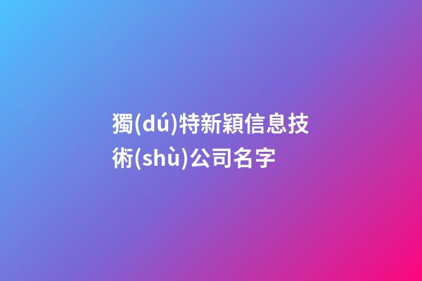 獨(dú)特新穎信息技術(shù)公司名字