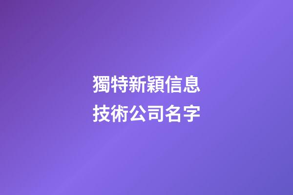 獨特新穎信息技術公司名字
