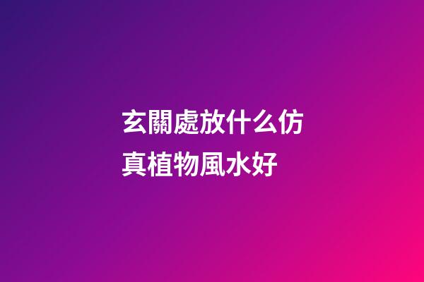 玄關處放什么仿真植物風水好