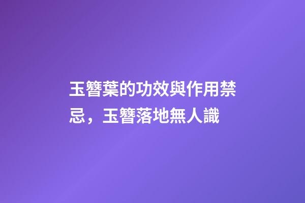 玉簪葉的功效與作用禁忌，玉簪落地無人識-第1張-觀點-玄機派