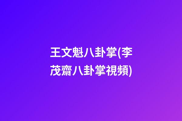 王文魁八卦掌(李茂齋八卦掌視頻)