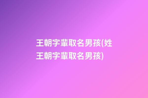 王朝字輩取名男孩(姓王朝字輩取名男孩)