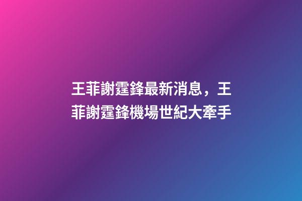 王菲謝霆鋒最新消息，王菲謝霆鋒機場世紀大牽手-第1張-觀點-玄機派