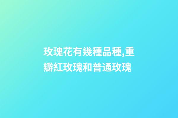 玫瑰花有幾種品種,重瓣紅玫瑰和普通玫瑰-第1張-觀點-玄機派