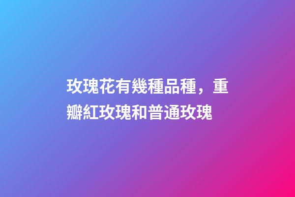 玫瑰花有幾種品種，重瓣紅玫瑰和普通玫瑰-第1張-觀點-玄機派