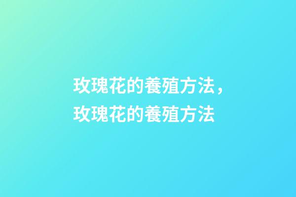 玫瑰花的養殖方法，玫瑰花的養殖方法-第1張-觀點-玄機派