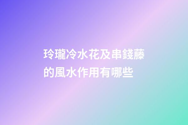 玲瓏冷水花及串錢藤的風水作用有哪些?