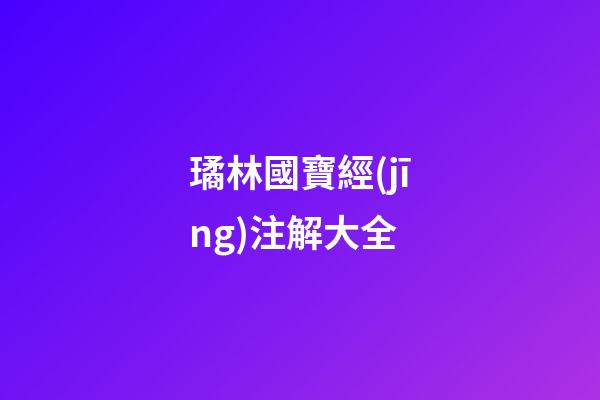 璚林國寶經(jīng)注解大全