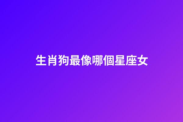生肖狗最像哪個星座女-第1張-星座運勢-玄機派