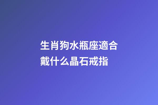 生肖狗水瓶座適合戴什么晶石戒指-第1張-星座運勢-玄機派