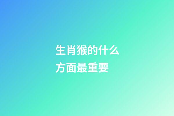 生肖猴的什么方面最重要