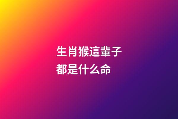 生肖猴這輩子都是什么命