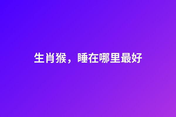 生肖猴，睡在哪里最好