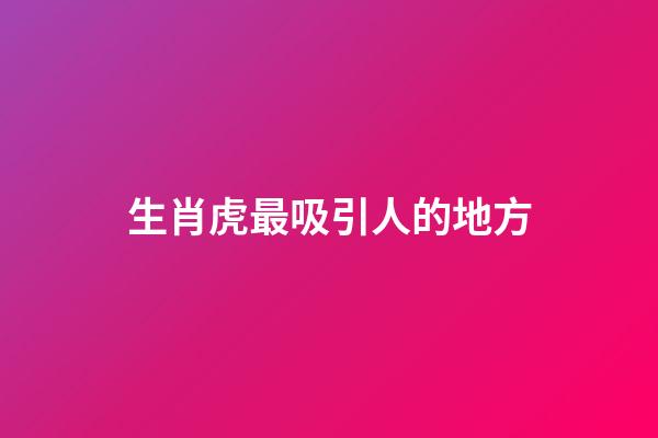 生肖虎最吸引人的地方