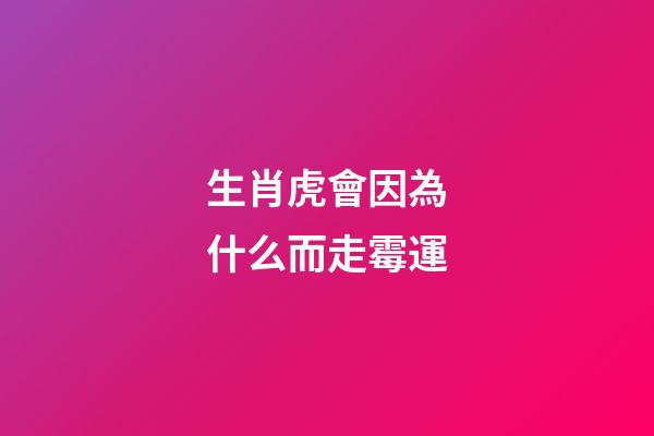 生肖虎會因為什么而走霉運